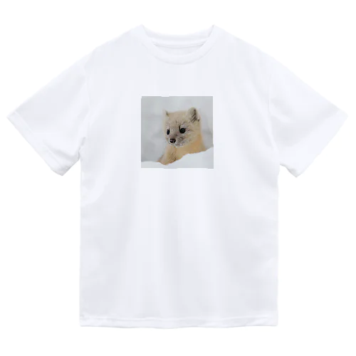 【心とカラダの栄養】サロベツのエゾクロテン Dry T-Shirt