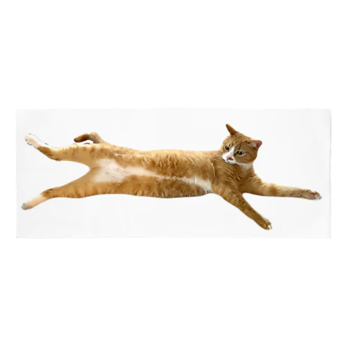 猫吸い　ウラさんのお腹もふもふ Face Towel