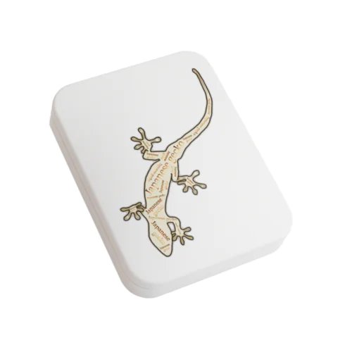 Japanese gecko(ニホンヤモリ)　英語デザイン Flat Tin Case