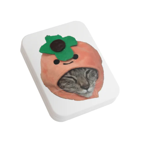 里親募集中の　さらちゃん Flat Tin Case