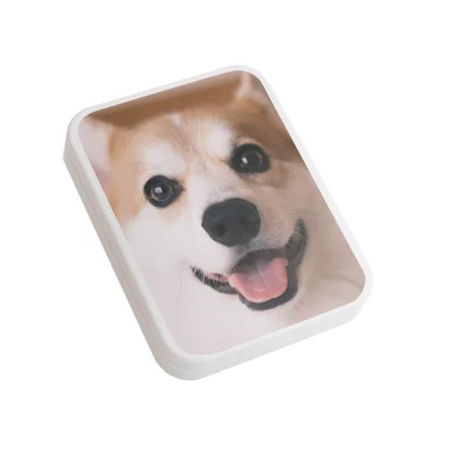 どあっぷ Flat Tin Case