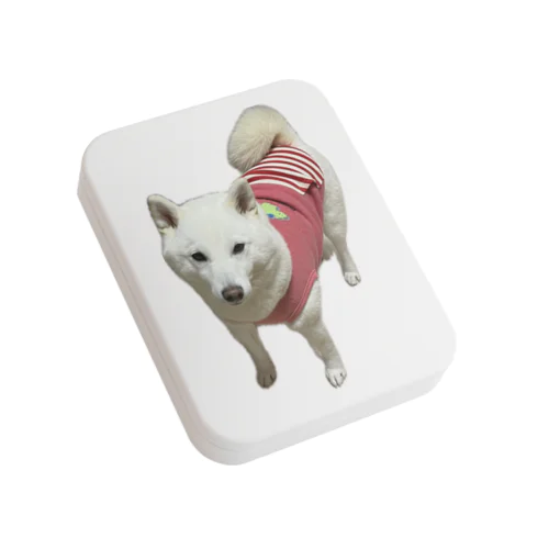 実家のばぁちゃんの横 Flat Tin Case