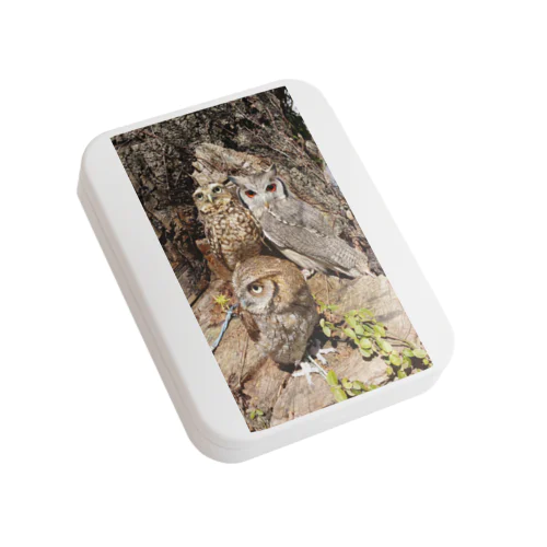 OWL 　JAPAN Flat Tin Case