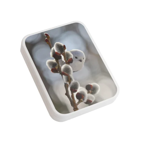 【人気シリーズ】サロベツで雪の妖精シマエナガ Flat Tin Case