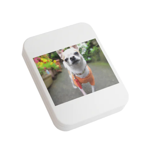 カラフルチワワ（フラワー） Flat Tin Case