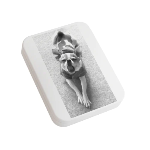 モノクロチワワ（あくび） Flat Tin Case