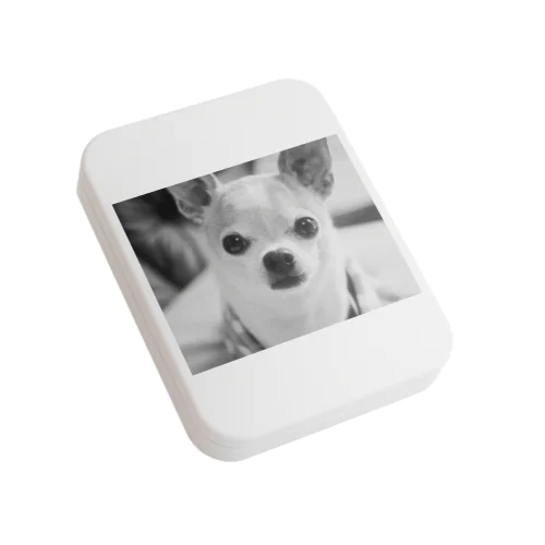 モノクロチワワ（おすまし） Flat Tin Case