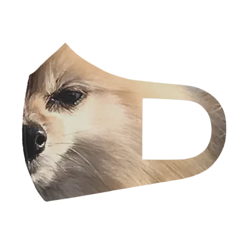 ポメラニアン　かお　舌あり　msk Face Mask