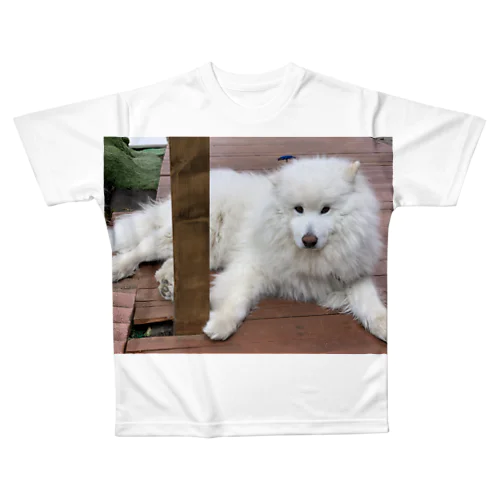 大福君 All-Over Print T-Shirt