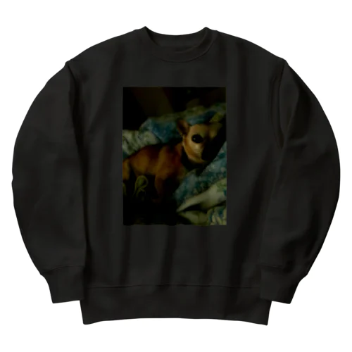 ポコ Heavyweight Crew Neck Sweatshirt