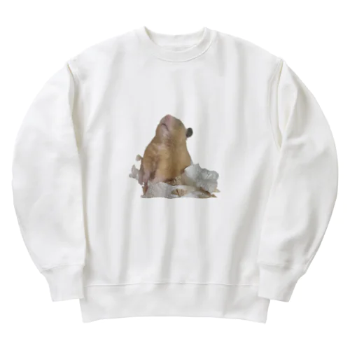 やめれくん Heavyweight Crew Neck Sweatshirt