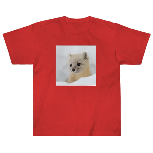 【心とカラダの栄養】サロベツのエゾクロテン Heavyweight T-Shirt