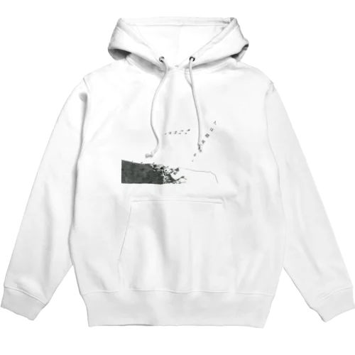 人は錯覚する Hoodie