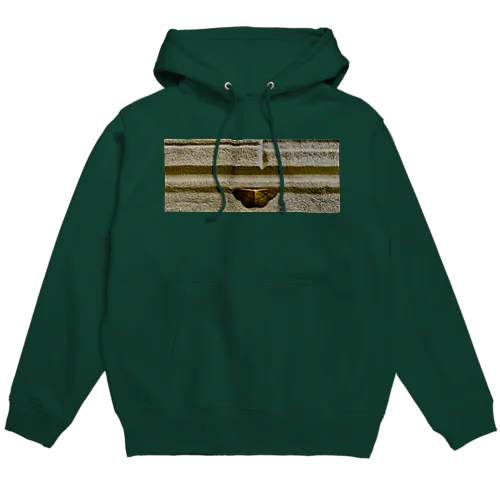 擬態 Hoodie