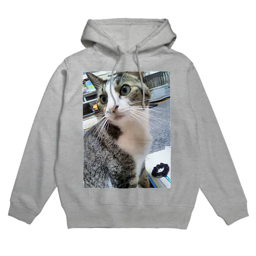 黄昏にゃん Hoodie