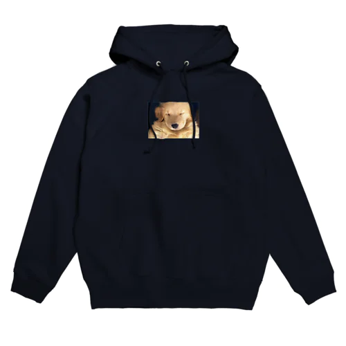 ゴールデンレトリバーの子犬 Hoodie