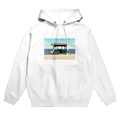 海辺の小屋(San Diego) Hoodie