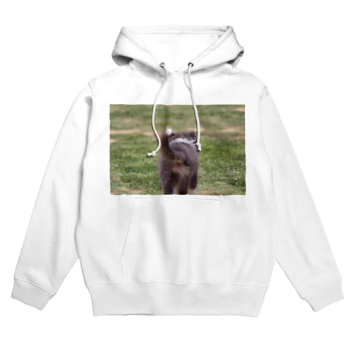 ﾎﾞｰﾀﾞｰｺﾘｰ子犬の後ろ姿です🐯 Hoodie
