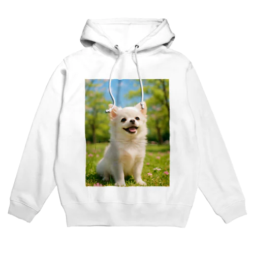 春のおさんぽ日和｜ポメチワのスマイルグッズセット（Tシャツ・雑貨・クッションなど） Hoodie