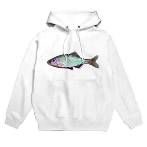 ミナミアカヒレタビラ Hoodie