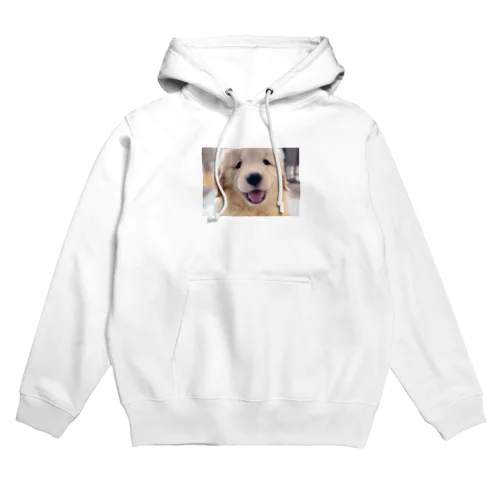 ゴールデンレトリバーの子犬 Hoodie