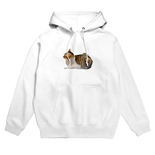 猫のさん君 Hoodie