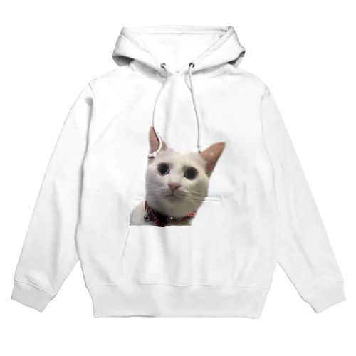 しらすの真顔 Hoodie