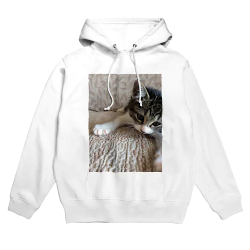 こねこのパル～南の島のにゃんこ～ Hoodie