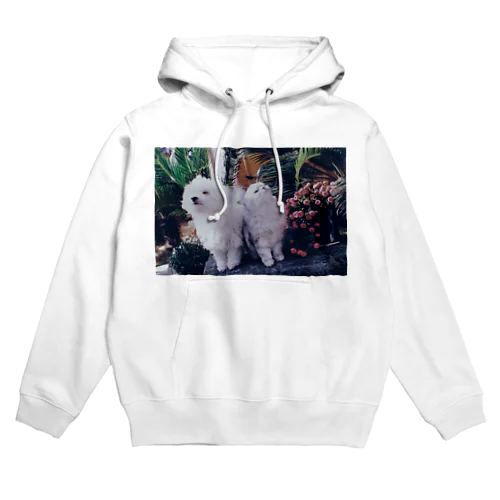 パピーとララ Hoodie