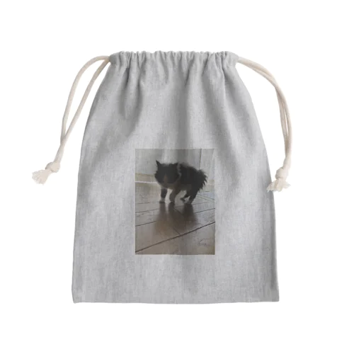 逆光逆毛猫 Mini Drawstring Bag