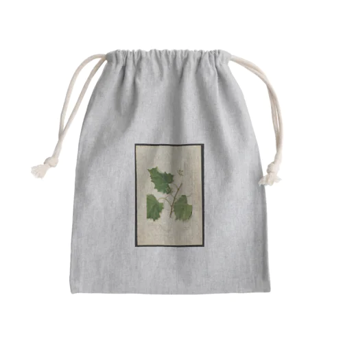 Scuppernong  Mini Drawstring Bag