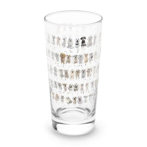 マルチーズ＆マルチーズミックス身体測定 Long Sized Water Glass