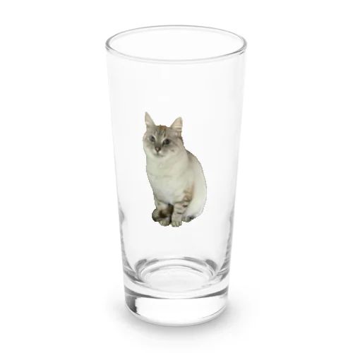 元野良猫しらたま Long Sized Water Glass
