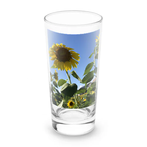 夏のひまわり Long Sized Water Glass