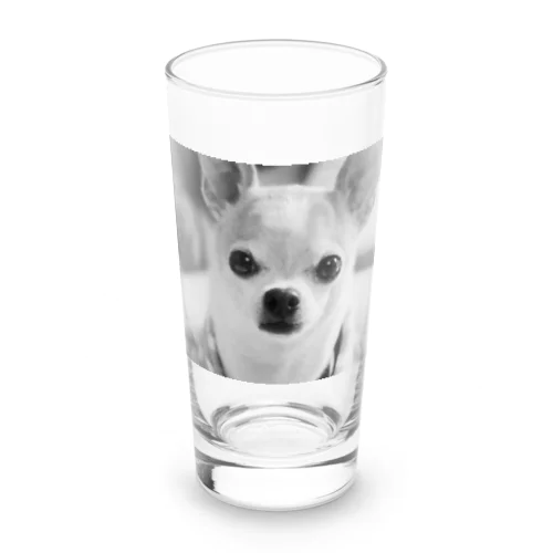 モノクロチワワ（おすまし） Long Sized Water Glass