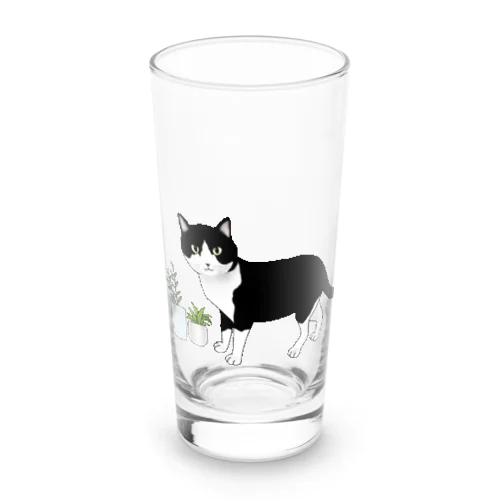 猫のいる暮らし（plants） Long Sized Water Glass