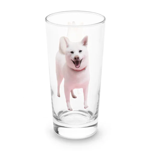 白柴 Long Sized Water Glass