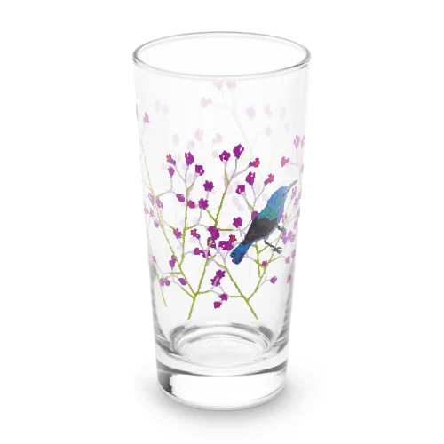 刺繍のパレスチナサンバードと植物_ロンググラス Long Sized Water Glass