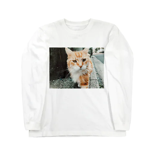 ライオン猫 Long Sleeve T-Shirt