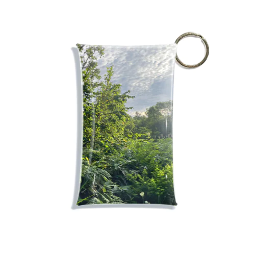 自然 Mini Clear Multipurpose Case