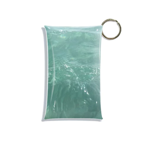 summer Mini Clear Multipurpose Case