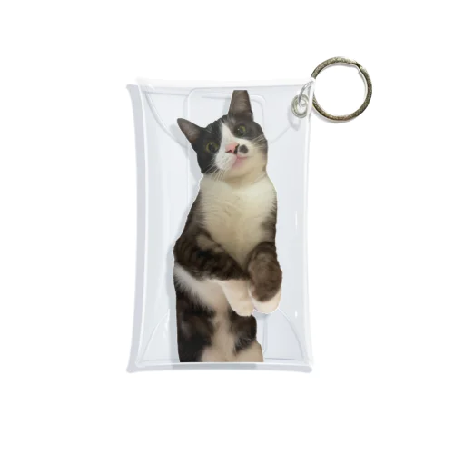 もやし　 Mini Clear Multipurpose Case