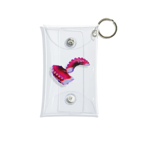 足 Mini Clear Multipurpose Case