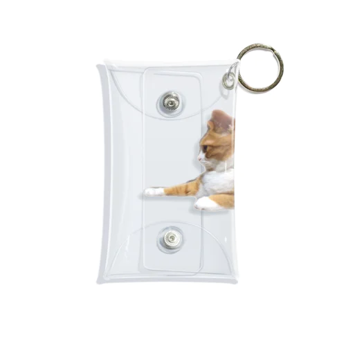 角から飛び出る可愛い茶トラ きらら  Mini Clear Multipurpose Case