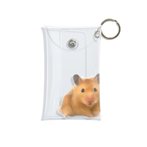 こっち見てる Mini Clear Multipurpose Case