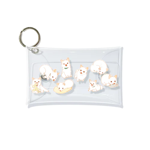 DOG Mini Clear Multipurpose Case