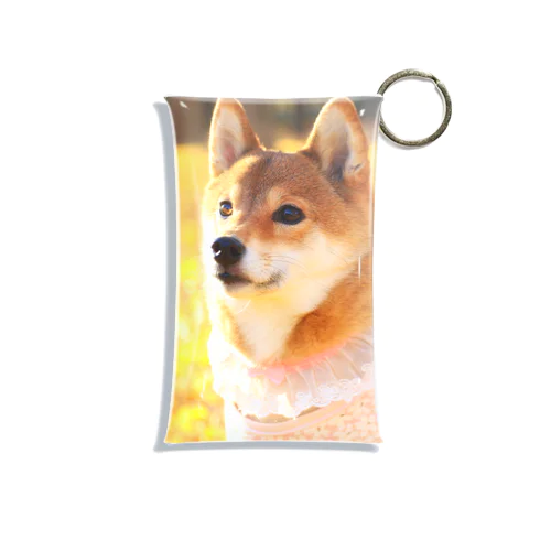 落ち葉と日向 Mini Clear Multipurpose Case