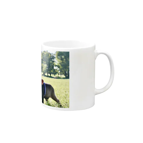 ごまみるく。公園にて Mug