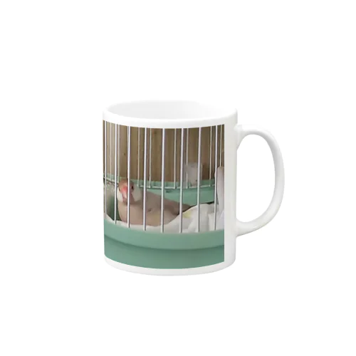 もも「なに撮ってんのよぉ」 Mug