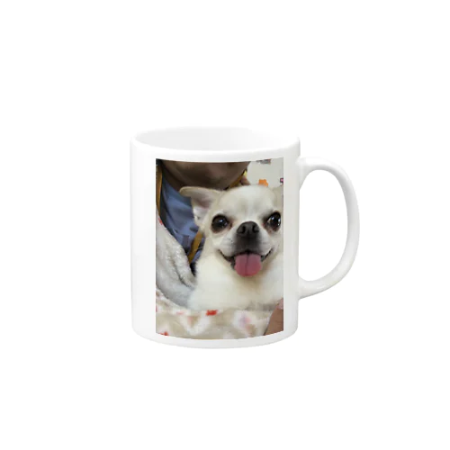 保護犬のみるたん Mug